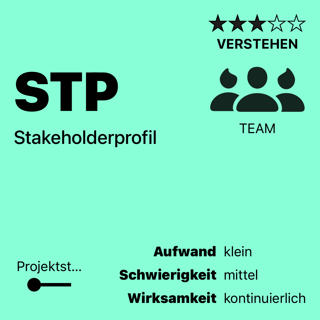 STP | Stakeholderprofil